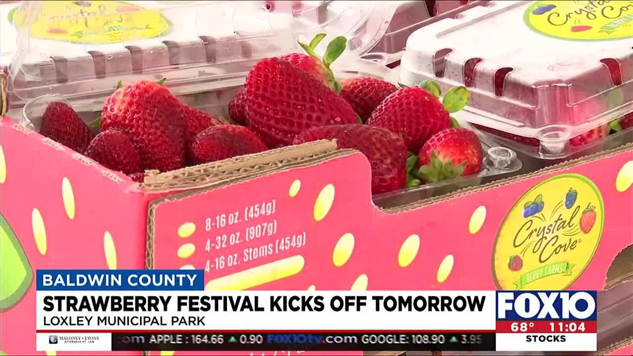Strawberry Festival kicks off Saturday in Loxley YouTube