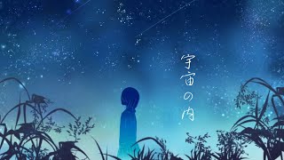 宇宙の内