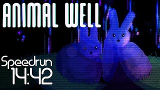 Animal Well NMG Speedrun - 14:42.18