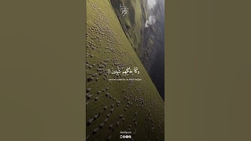 سورة الانبياء للقارئ ياسر الدوسري #quran #ياسر_الدوسري #islam #allah #islamicvideo #islamic #القرآن