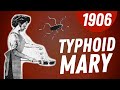1906  le destin tragique de typhoid mary