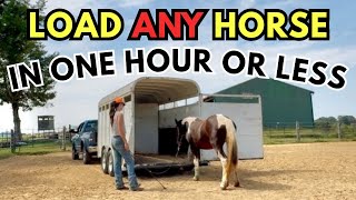 The Secret to Trailer Loading Any Horse Fast