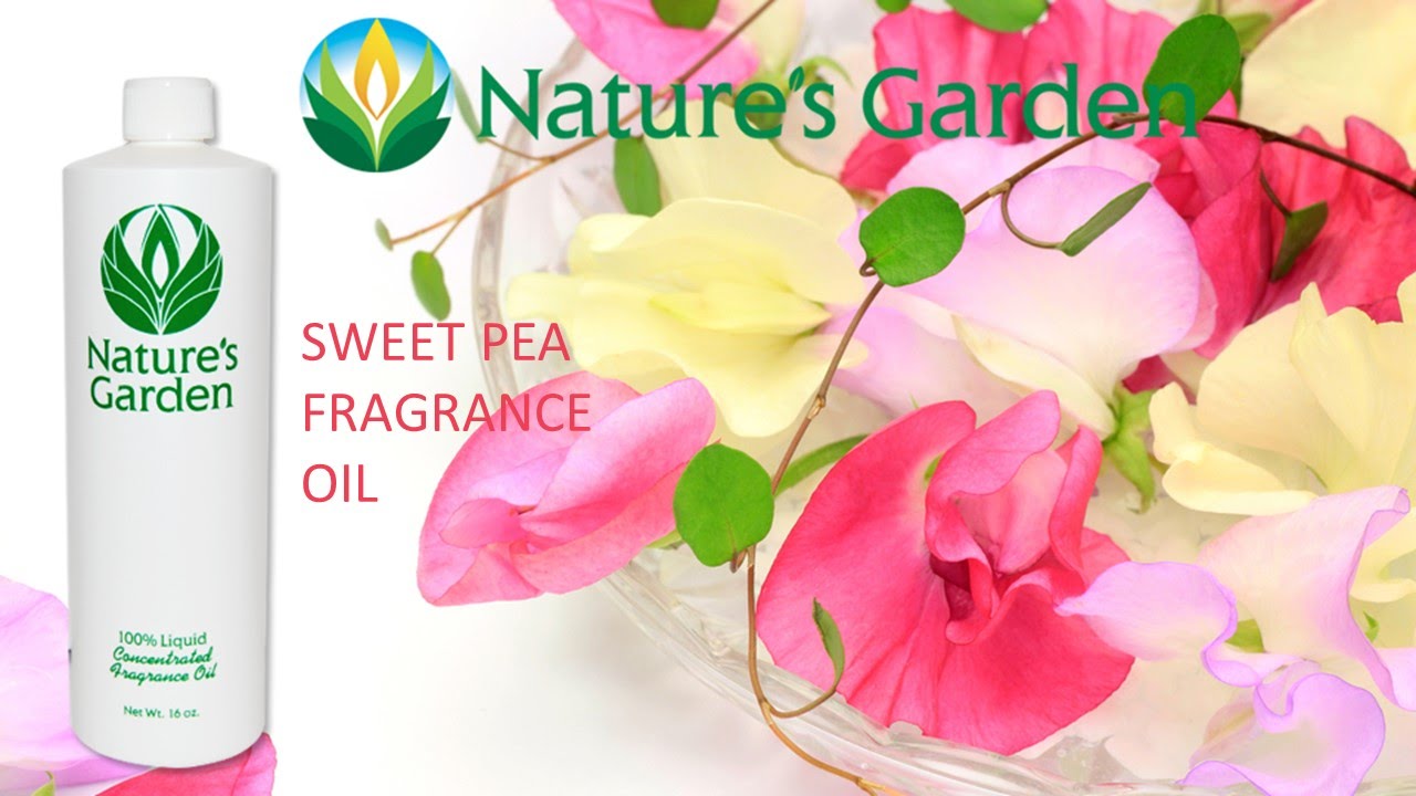 Sweet Pea Fragrance Oil- Natures Garden 