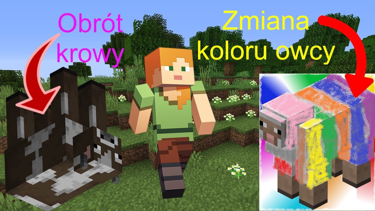 Jak Zrobić Kolorową Owcę W Minecraft ? - Youtube
