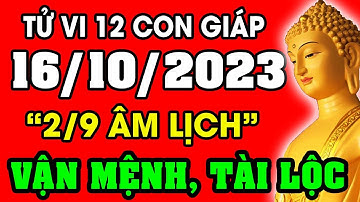 Tử vi hàng ngày 12 con giáp ngày 16/10/2023: Xem Vận Mệnh, Tài Lộc, Sự Nghiệp, Tình Duyên, Sức Khỏe