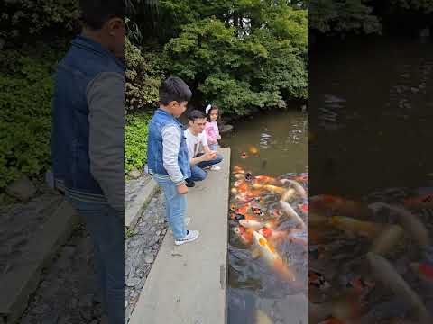 I Fitting Fish Fitting Fishing Shorts 