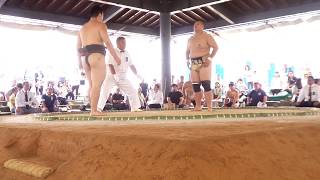 20170624 100kg以上級予選2 第70回東北高校相撲選手権大会  112816