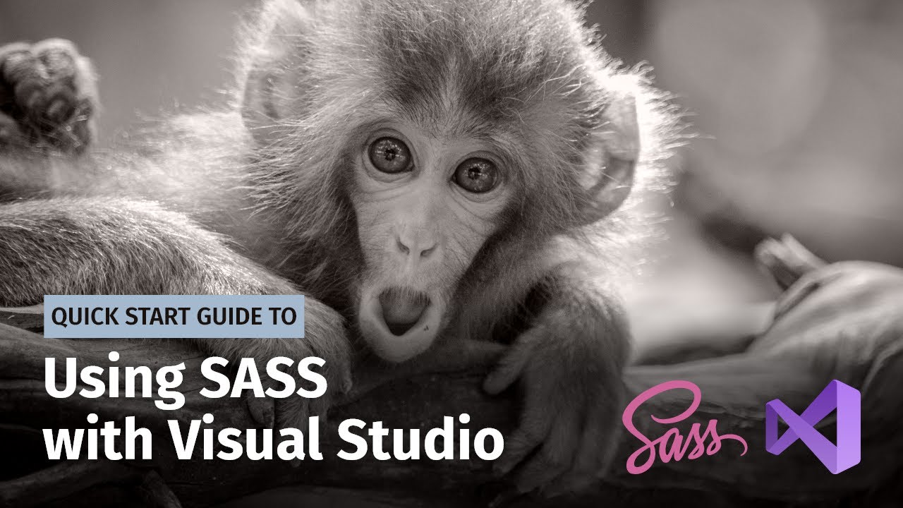 Using Sass With Visual Studio (2019)