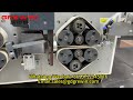Automatic Wire Cutting and Stripping Machine