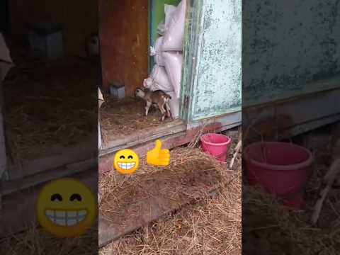 Награда за упорство - ПОБЕДА!!!👍☝️👍🤗😁