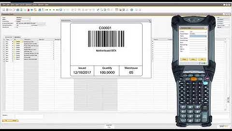 SAP Business One Production with WiSys WMS