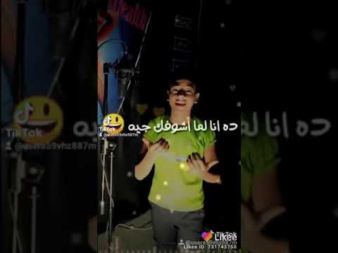 حالة اغنية ملكة جمال الشلة غناء تامر الفنان