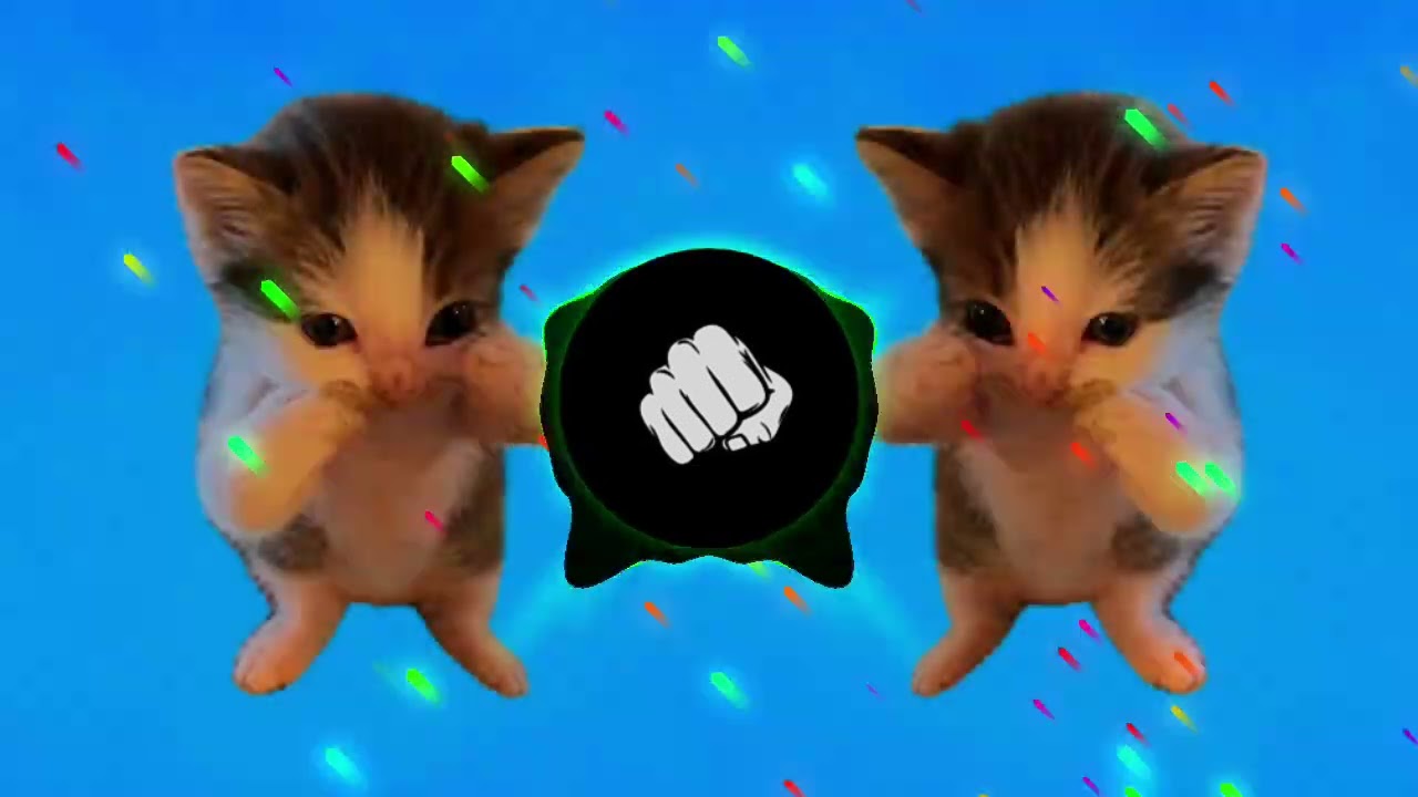 DJ KICAU KICAU KICAU MANIA SLOW VIRAL TIKTOK FULL SONG MAMAN FVNDY 2026 