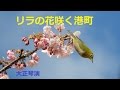 「リラの花咲く港町」/藤原浩 Japanese Taishogoto 大正琴 /Gerobikki