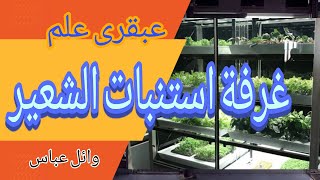 طريقة عمل غرفة استنبات الشعير المستنبت. Sprouted barley