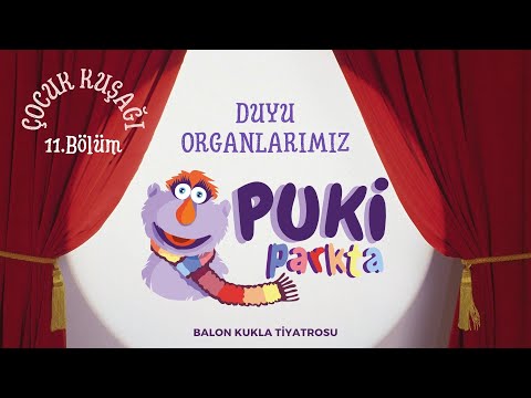 Puki Parkta - 11. Bölüm - Duyu Organlarımız