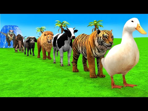Long Slide Game With Elephant Gorilla Buffalo Hippopotamus Tiger 3d Animal Game Funny 3d Animals