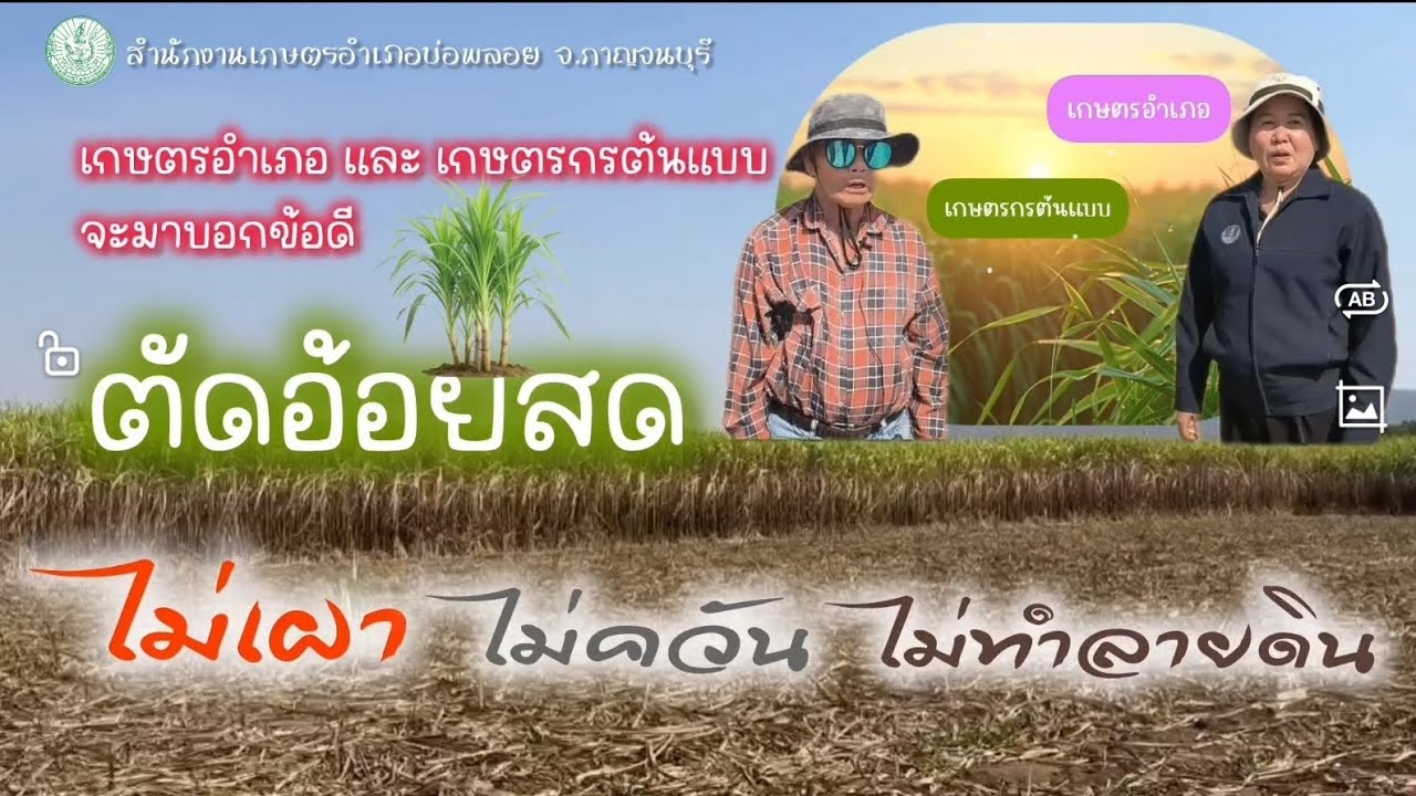 ตัดอ้อยสด ✅ ไม่เผา100%  @สํานักงานเกษตรอําเภอบ่อพลอย 