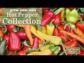 Sow right seeds  hot pepper seed collection