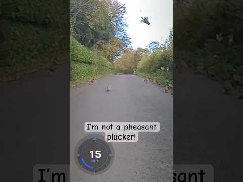 It must be nearly shooting season…