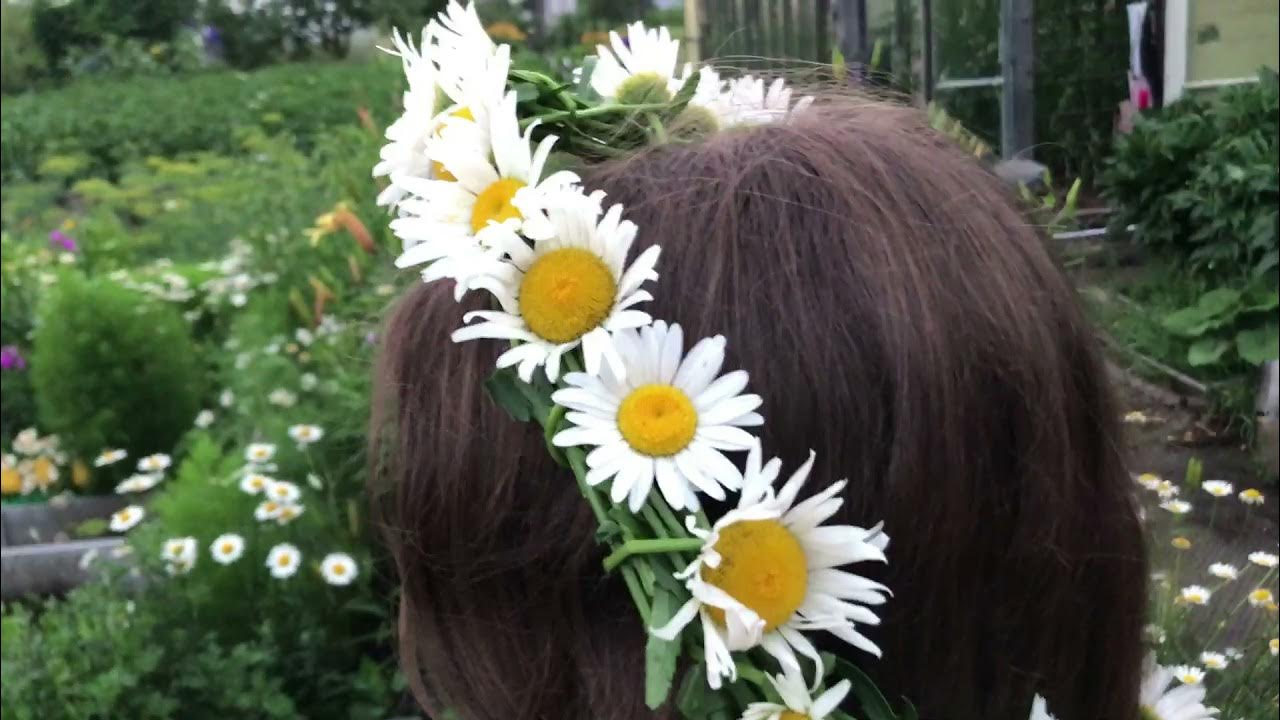 Как плести венок из ромашек и любых цветов.🌼На даче шикардос!ГРОЗА ⚡⛈ # ...