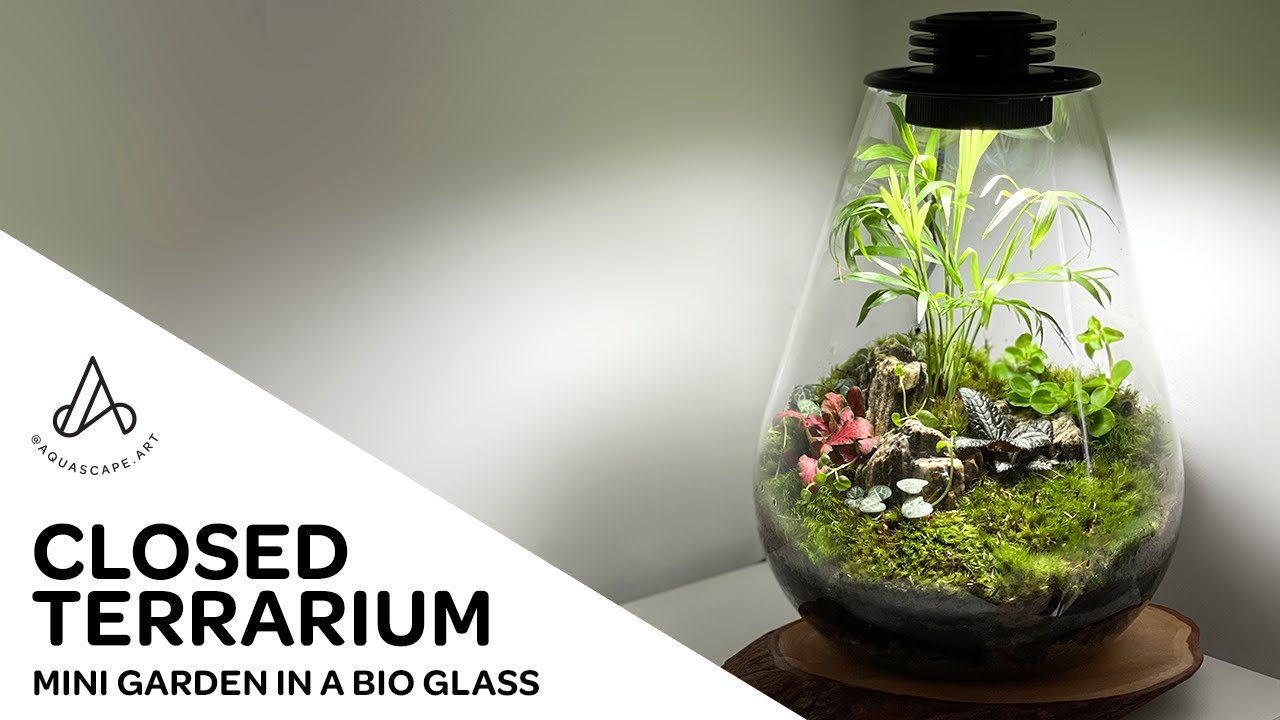 på tilnærmelse krigsskib How to make an easy mini terrarium moss garden in a closed tear drop  Biolark Bio Glass Bottle - YouTube