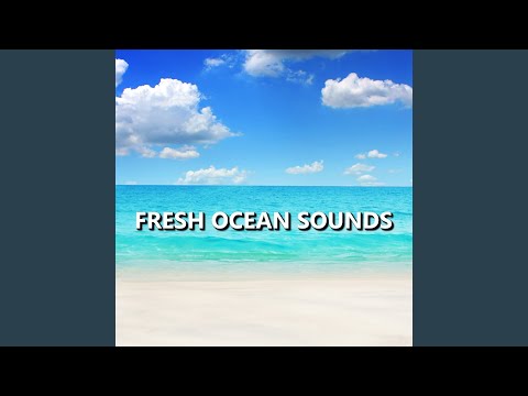 Masterful Meditation Ocean Waves