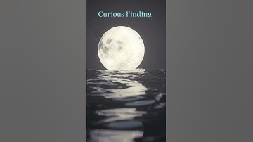 Curious Finding... #shorts #motivation #life
