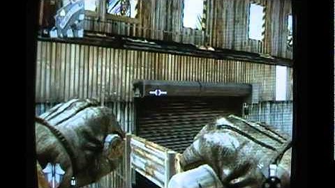 Call of duty black ops **Glitch firing range***