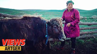 A Day with the Yak Herder Family in Mongolia! Distilling Unique Yak Milk Vodka! | Views
