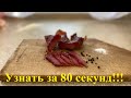 Рецепт вяленого мяса за 80 секунд!! #SHORTS