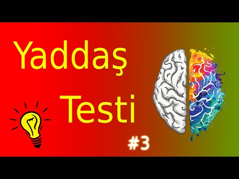 Bəs Sən Qısa Yaddaşını Test Etmisən?  - Zəkanızı və özünüzü sınamaq üçün əyləncəli testimizi sınayın