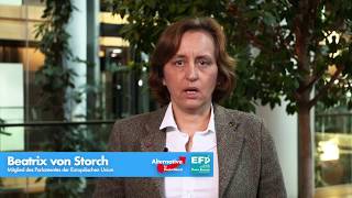 Beatrix Von Storch Afd Zum Netzwerkdurchsetzungsgesetz Netzdg