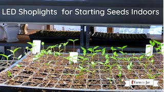 Using shop lights for indoor seed starting; LED vs fluorescent