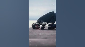 ( تتجافى جنوبهم عن المضاجع يدعون ربهم خوفا وطمعا )   تلاوة مميزة للقارئ شريف مصطفى