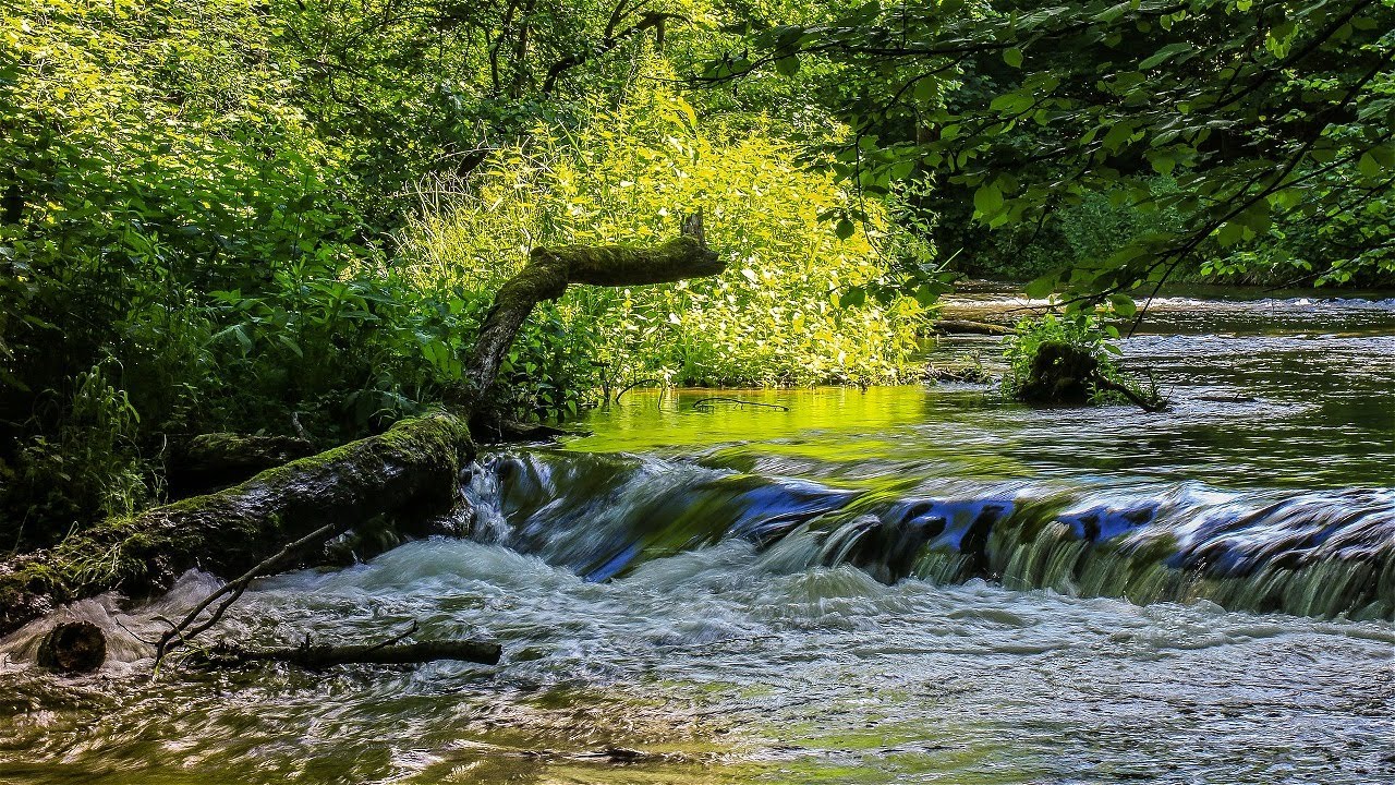 Gentle River Sounds. 🌳 Smooth Water Sounds. Relax, Meditate, Sleep, Yoga, Read, Background Sound.