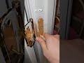 fixing door hinge screw holes #handyman #tools #fyp #DIY