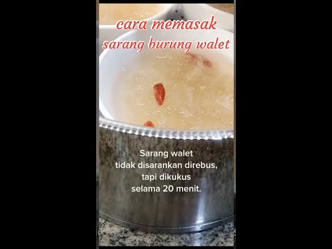 Video: Apa yang dimakan burung walet belukar rempah?