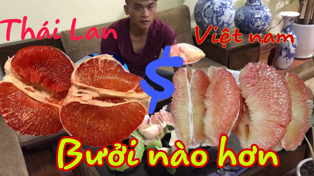 Bưởi RuBy Có Hơn Bưởi Da Xanh/đánh giá bưởi ruby với bưởi da xanh,Thang bom vlog