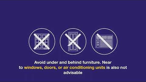 How to use Feliway Classic Diffuser for Cats | VetSupply