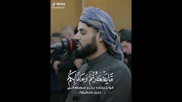 القارئ الشيخ رعد محمد بن الكردي