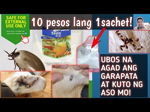 Video: Ano ang pinakakaraniwang sanhi ng puso para sa stroke?