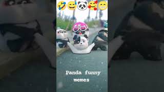 Panda funny memes 😄🐼 3