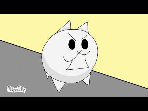Cat food |