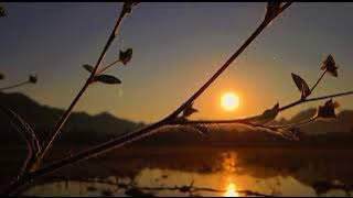 polosan video|| matahari terbit