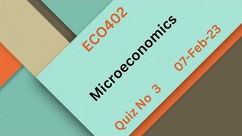 ECO402 Microeconomics Quiz no 3