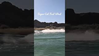Super Cat Fest West - Lake Havasu