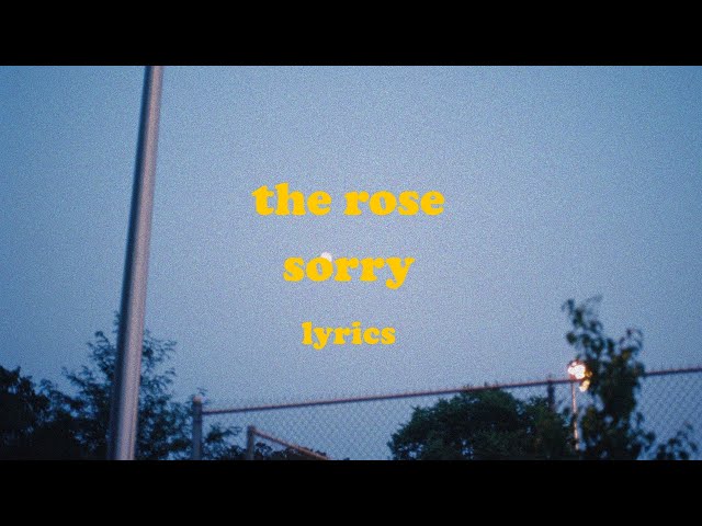 sorry - song and lyrics by The Rose