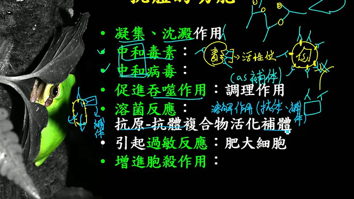 12 2 18抗體的功能三捷 - 天天要聞