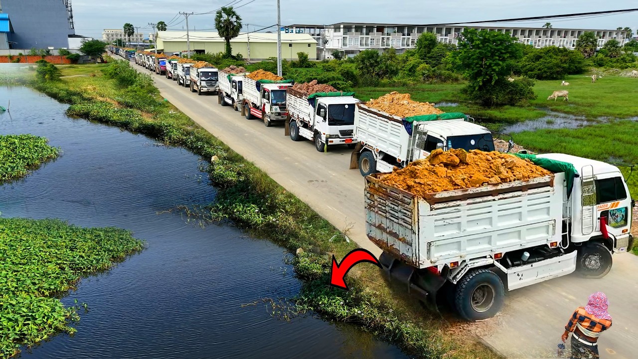 Amazing Dump Truck unloading, Processing Filling Up The Land, Bulldozer Komatsu d31p